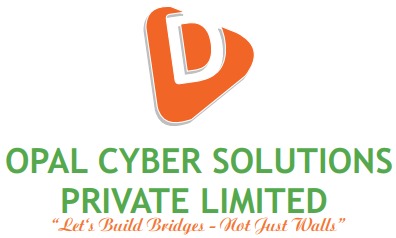 Dhruv Consulting Services